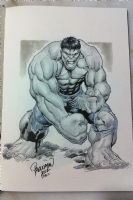 Hulk by Carlo Pagulayan Comic Art
